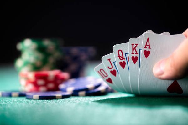 Exploring Platform Design in betting sites